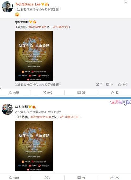 最新爆料集锦视频,集锦视频中的惊人内幕大曝光!