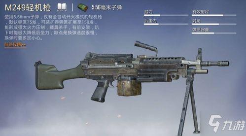和平精英武器最新爆料,神秘性能引发热议,玩家期待度飙升