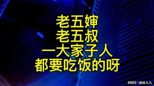 老五婶最新爆料,娱乐圈惊天内幕大曝光!